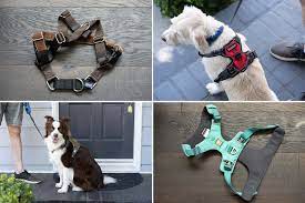 Why No pull dog harness is essential to Aiding Your Dog Stroll