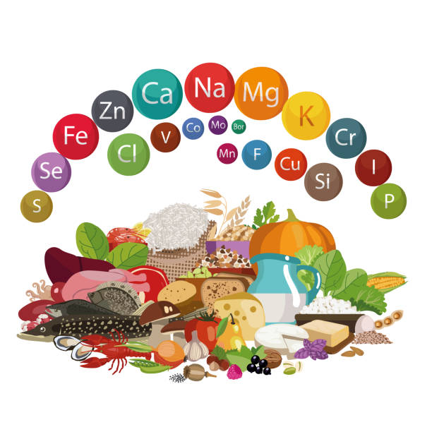 The Importance of Minerals in the Diet