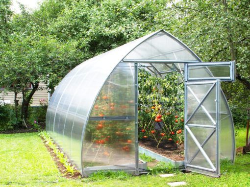 Greenhouses: Enjoy the Benefits of Purchasing from a Greenhouse Store