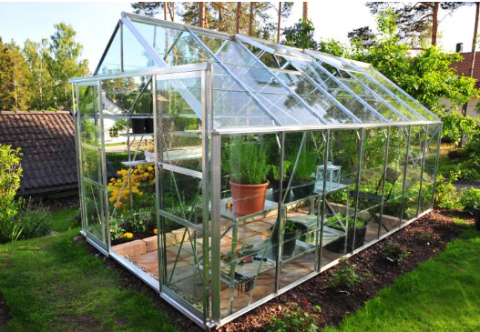 4 Tough Vegetation To Cultivate Inside A Greenhouse For Knowledgeable Farm owners
