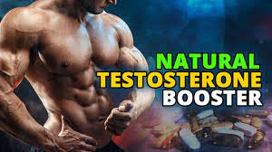 7 Great things about Taking a Testosterone booster Supplement