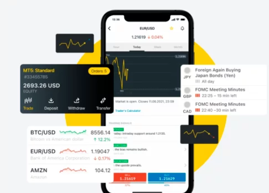 Exness Mastery: A Trading Platform for Every Skill Level