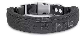 The Halo Dog Collar: A Comprehensive Review