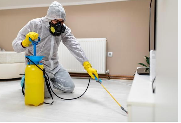 Athens Disinfection Experts: Safeguarding Spaces