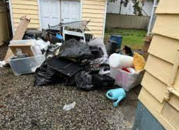 Clearing Mess: Efficient Garbage Eradication Providers in Lengthy Seashore