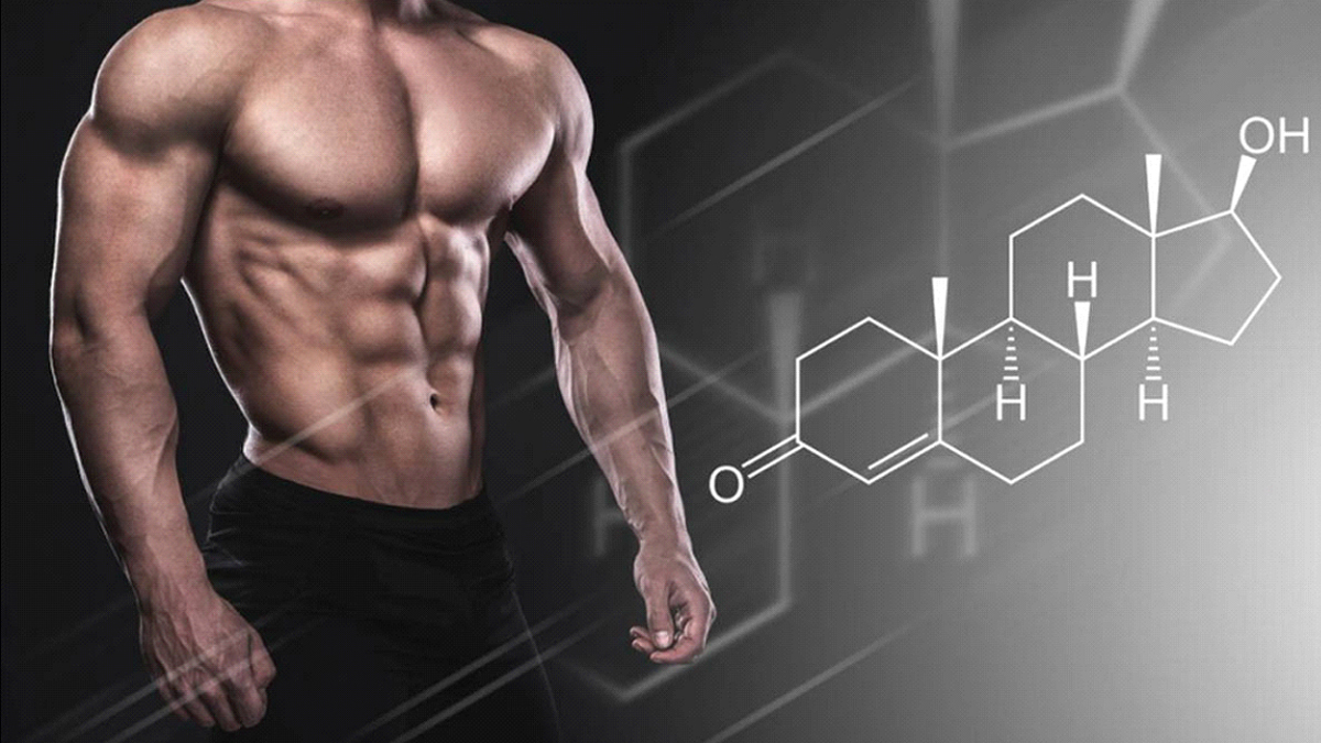 Injectable Steroids Online: Your Go-To Guide for Secure Purchases