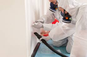 Asbestos Surveys for Commercial Properties: Ensuring Compliance and Safety
